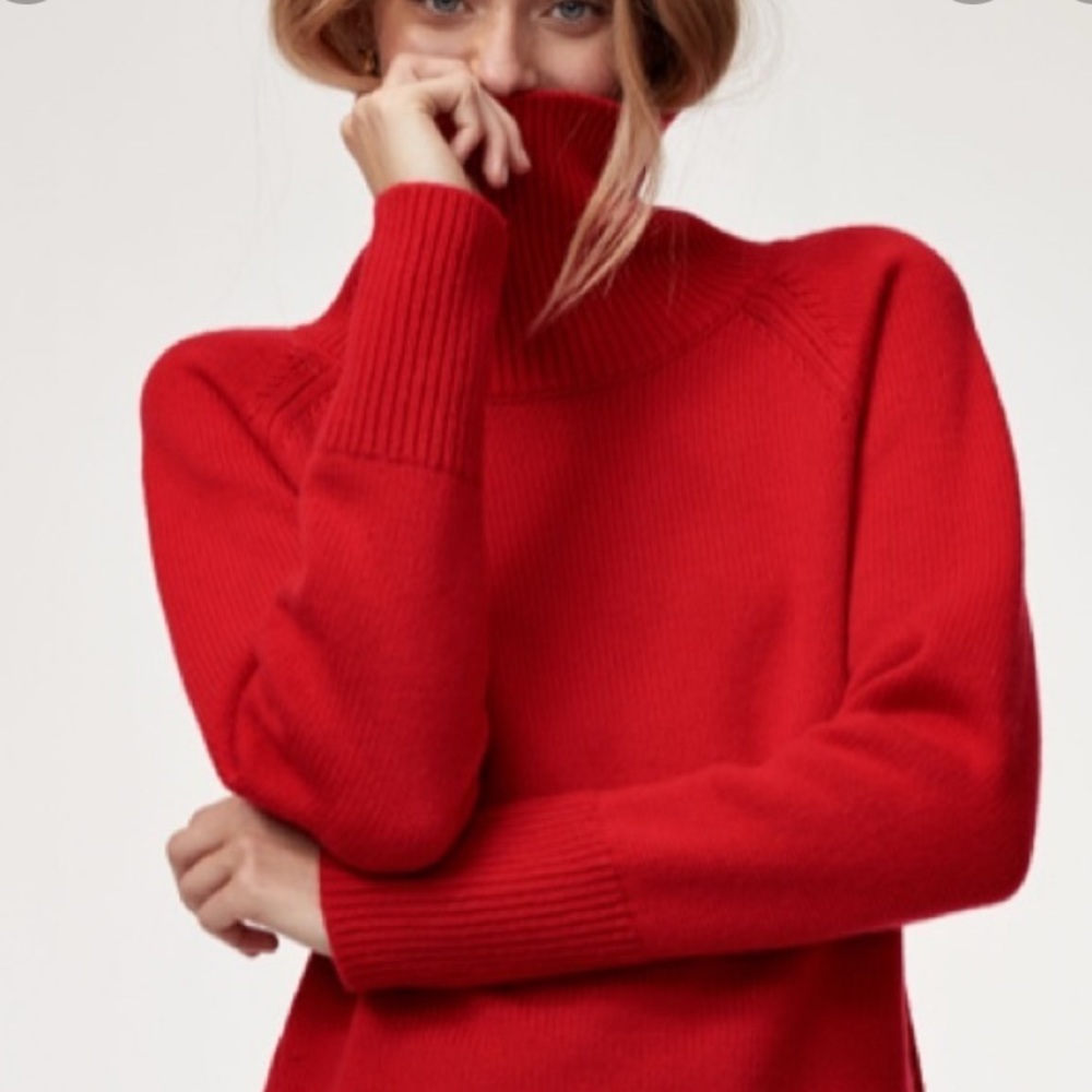 Aritzia Babaton Nicolas Sweater
